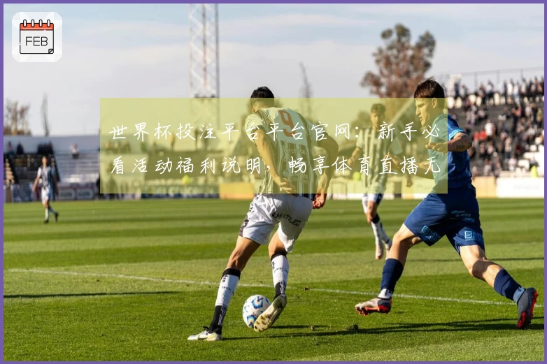 世界杯投注平台平台官网：新手必看活动福利说明，畅享体育直播无限精彩