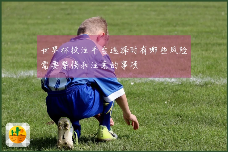 世界杯投注平台选择时有哪些风险需要警惕和注意的事项