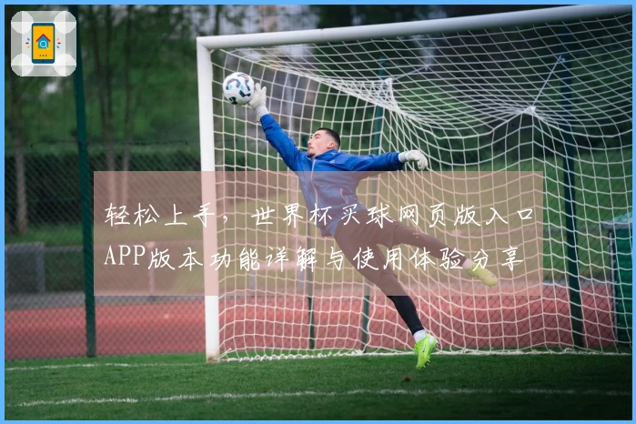 轻松上手，世界杯买球网页版入口APP版本功能详解与使用体验分享