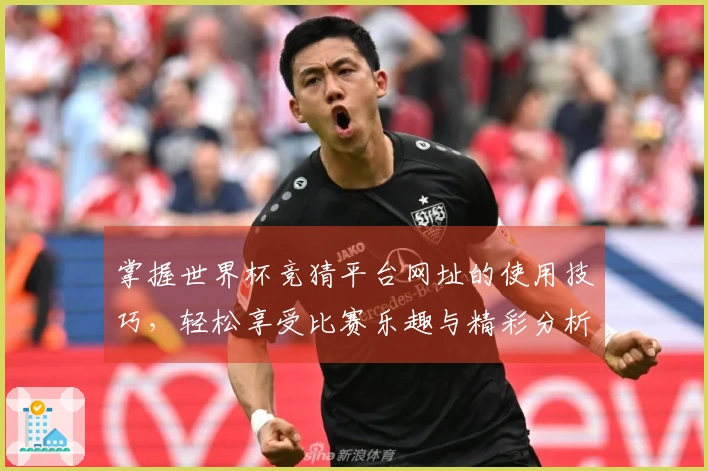 掌握世界杯竞猜平台网址的使用技巧，轻松享受比赛乐趣与精彩分析