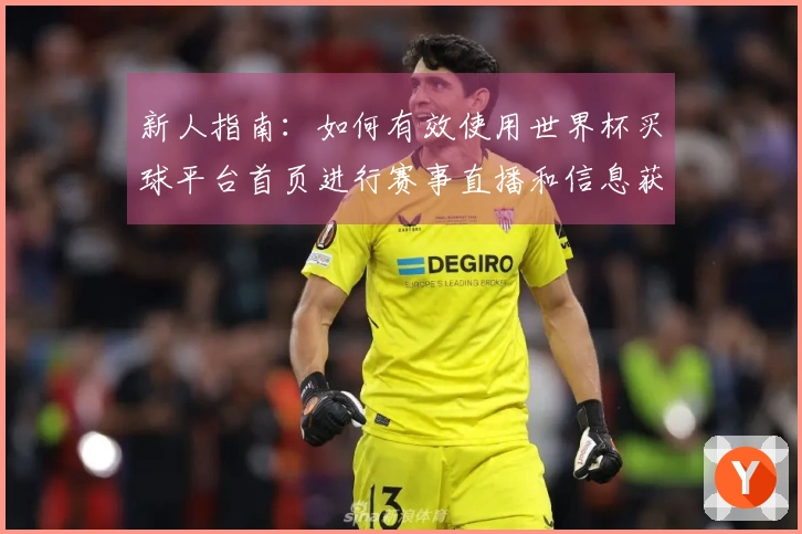 新人指南:如何有效使用世界杯买球平台首页进行赛事直播和信息获取