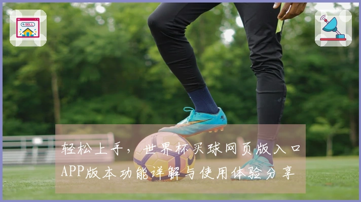 轻松上手，世界杯买球网页版入口APP版本功能详解与使用体验分享