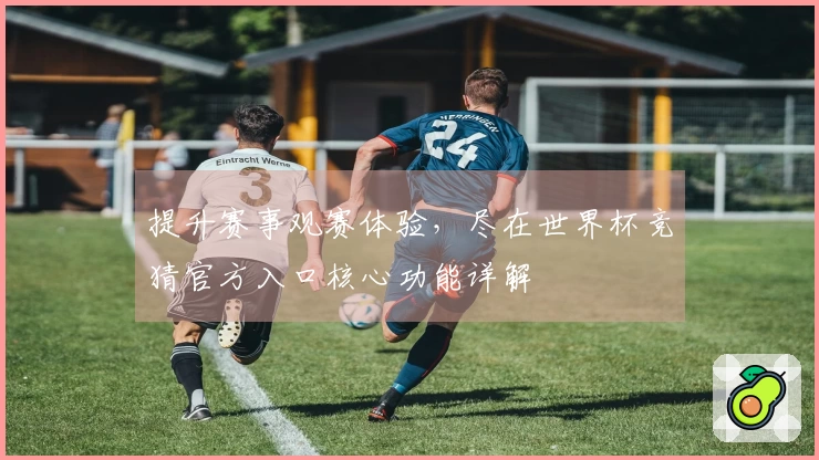 提升赛事观赛体验，尽在世界杯竞猜官方入口核心功能详解