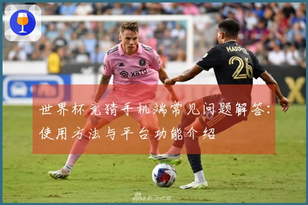 世界杯竞猜手机端常见问题解答：使用方法与平台功能介绍