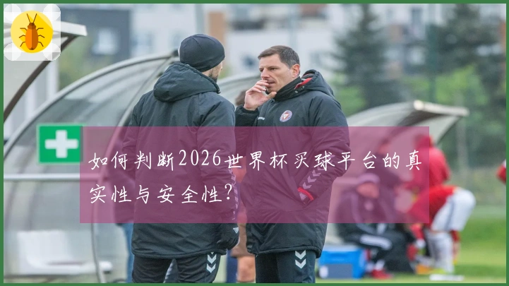如何判断2026世界杯买球平台的真实性与安全性？