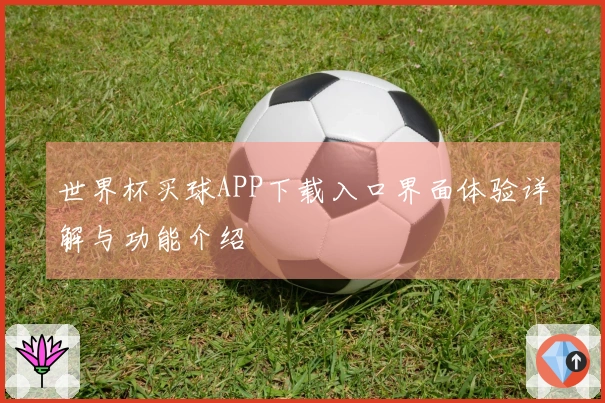 世界杯买球APP下载入口界面体验详解与功能介绍