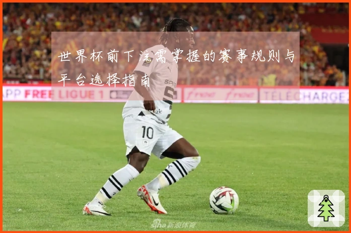 世界杯前下注需掌握的赛事规则与平台选择指南
