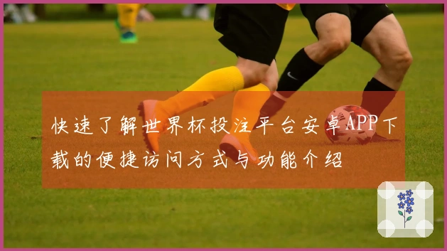 快速了解世界杯投注平台安卓APP下载的便捷访问方式与功能介绍